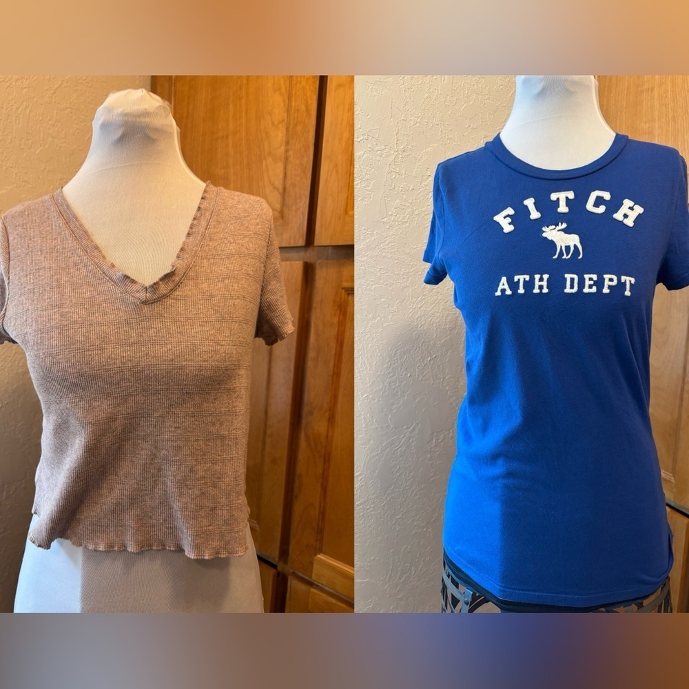 Wild Fable  Brown crop top & Ambercombie‎ & Fitch Size Large